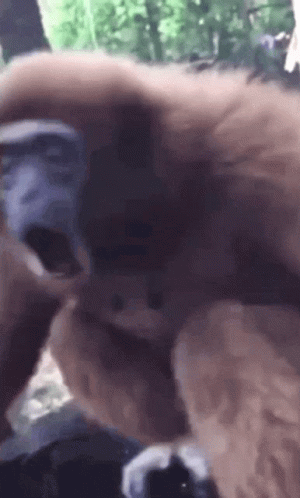 1705453788198.gif