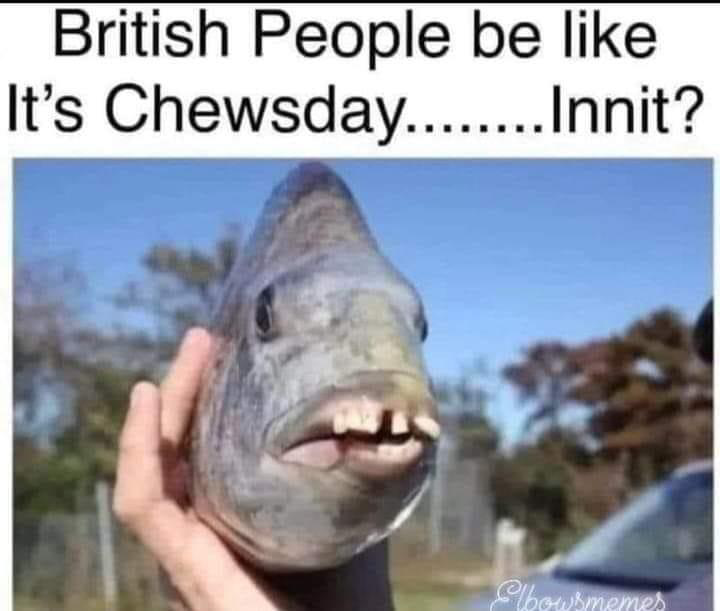 1705476230086.png