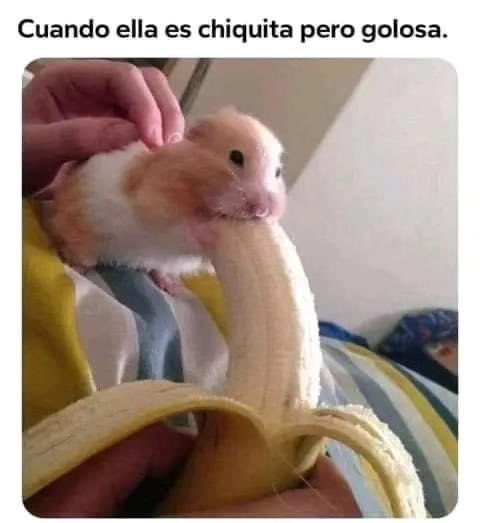 1705526639837.jpeg