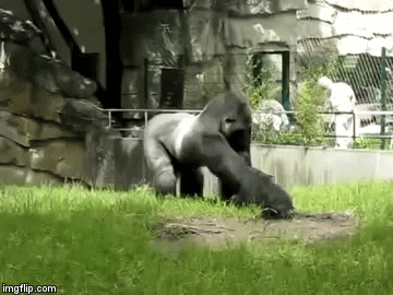1705535755296.gif