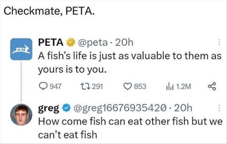 1705822216741.png