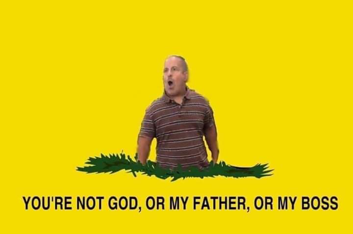 1706407453559.jpeg