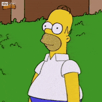 1706577219670.gif