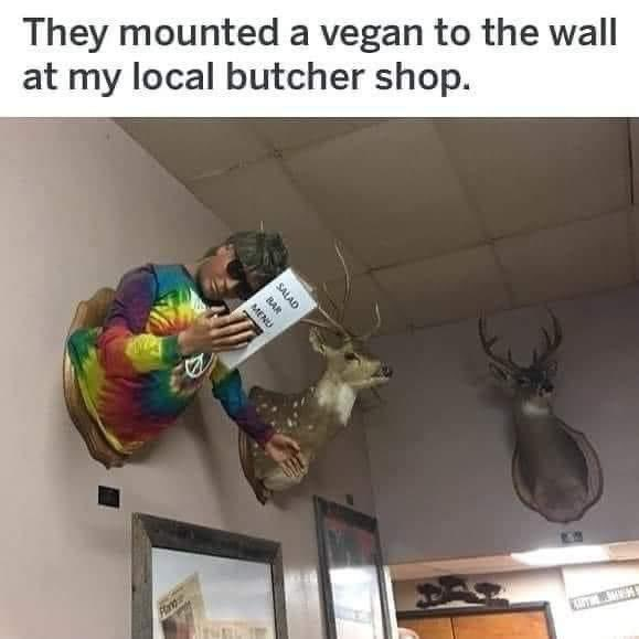 1706669884041.png
