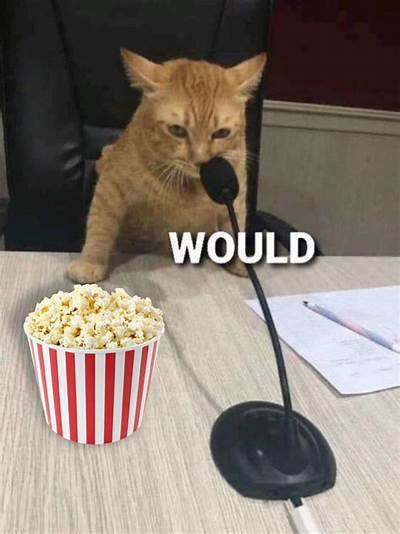 1706750658945.jpeg