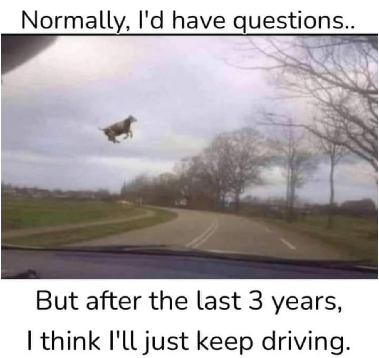 1706884663429.png