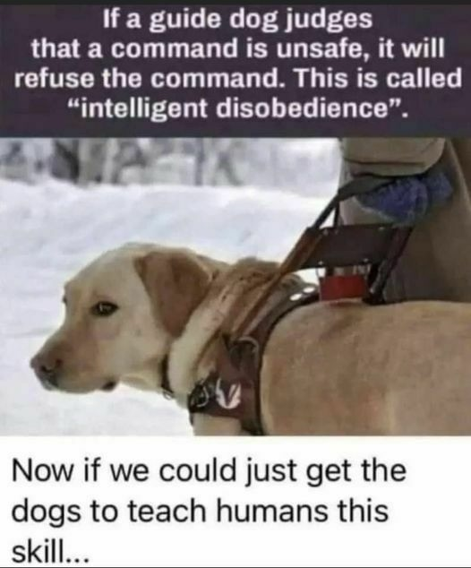 1706884689795.png