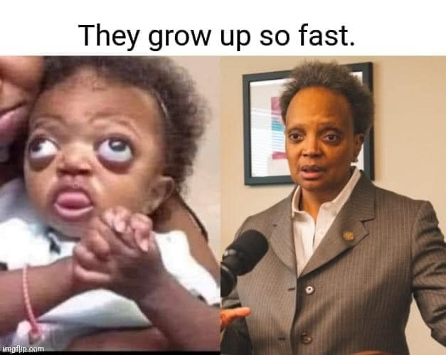 1707074729829.png