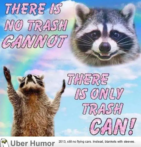 1707363484074.png