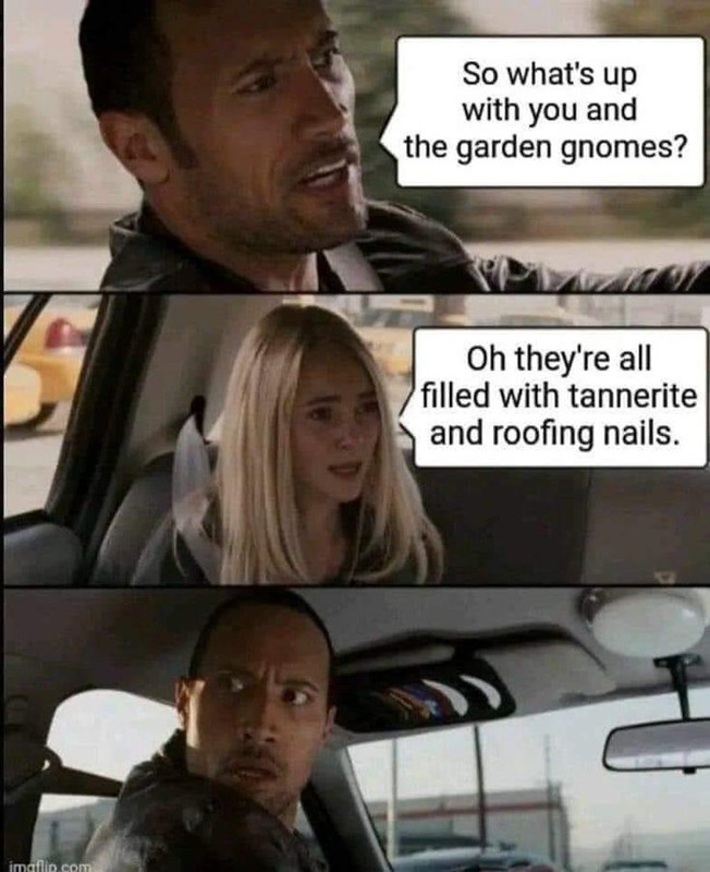 1707863896186.jpeg