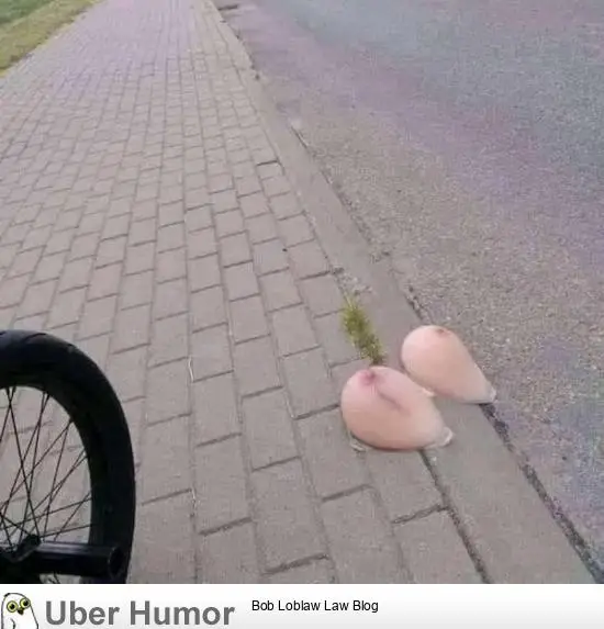 1708154578639.png