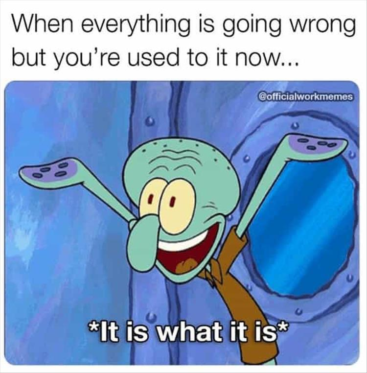 1708582289624.png