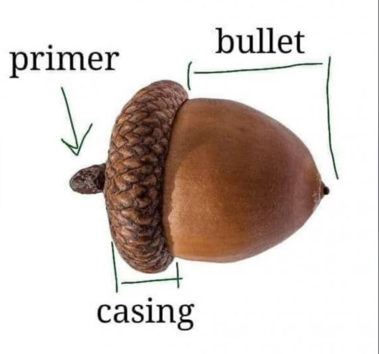 1708624146502.jpeg