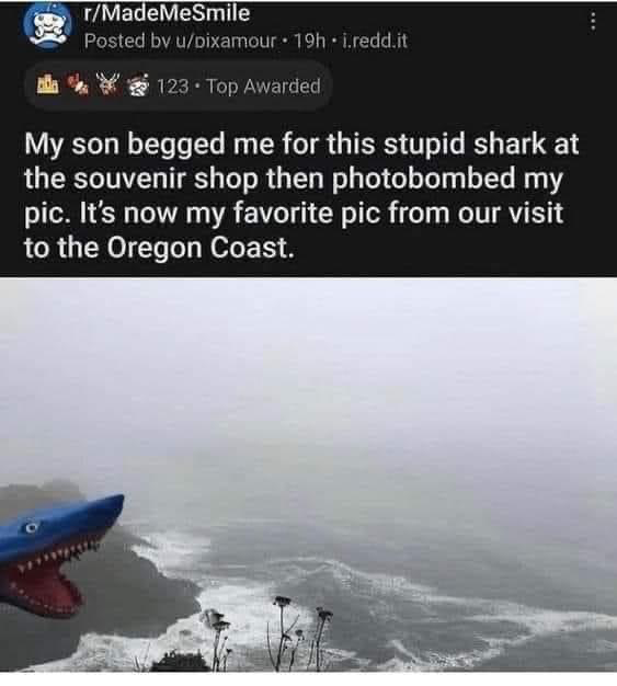 1708735289016.png