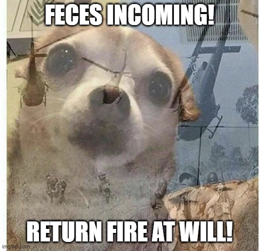 1708800978336.jpeg