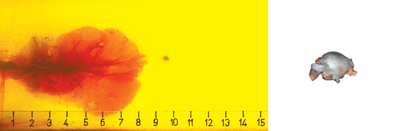 1709149319321.png