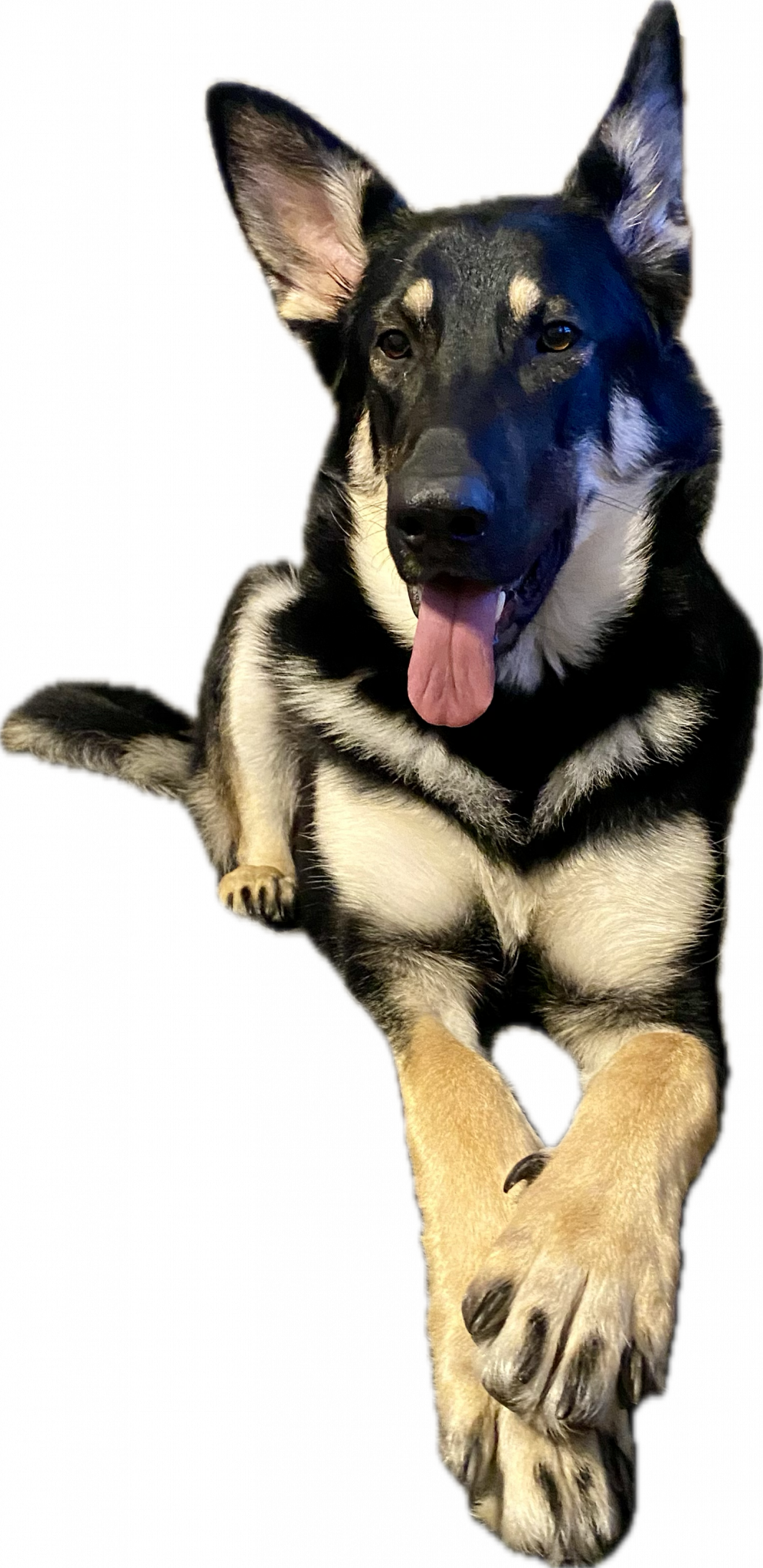 1709222938285.png