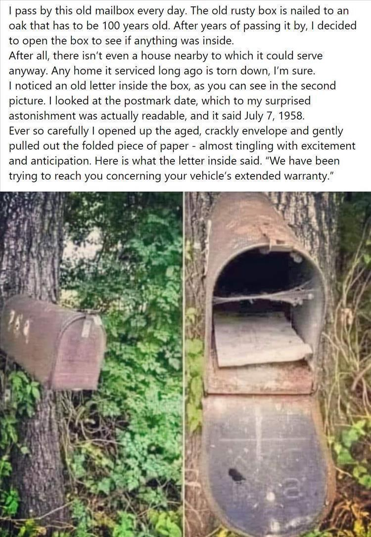 1709533269139.png