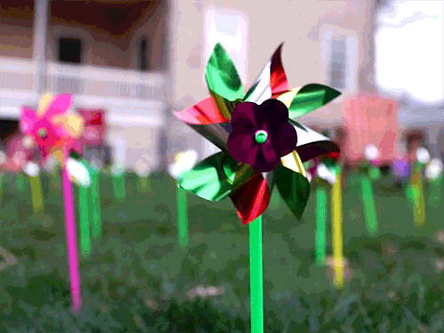 1709869692547.gif