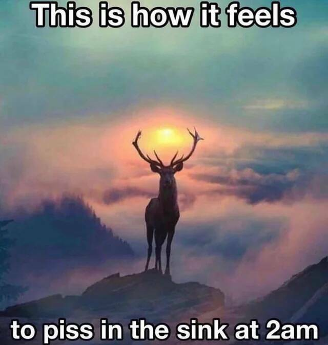 1709883278884.png