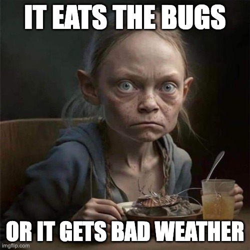 1709916040368.png