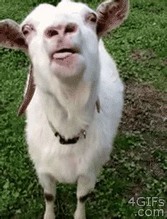 1709958128600.jpeg