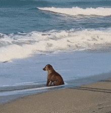 1710176958422.gif