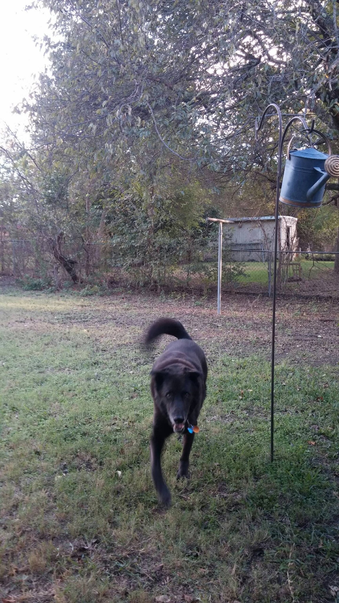 1710266425069.jpeg