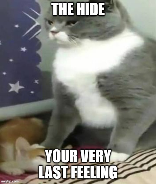 1710351476464.jpeg