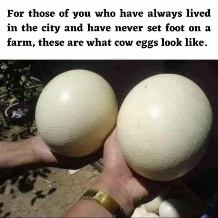1710658340792.png
