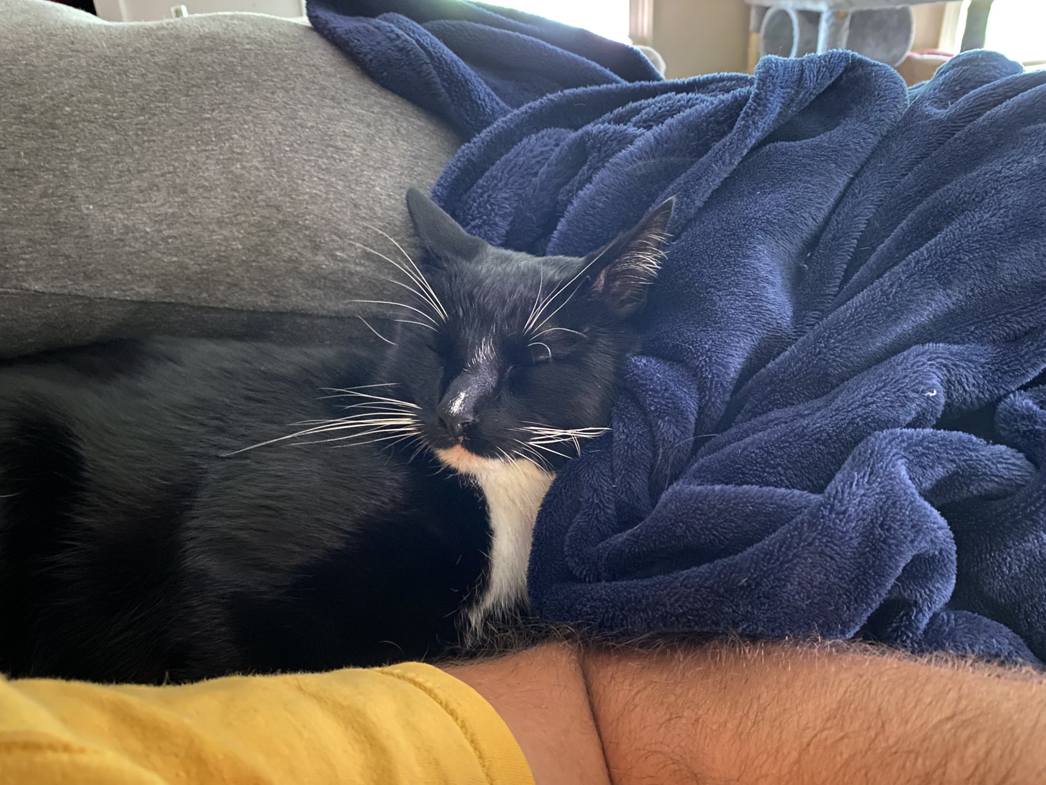 1710906032306.jpeg