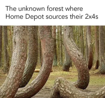 1711035304126.jpeg