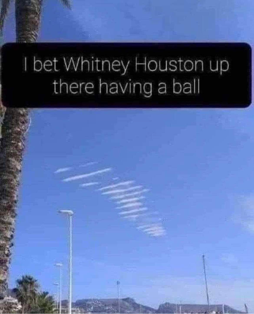 1711176195285.png