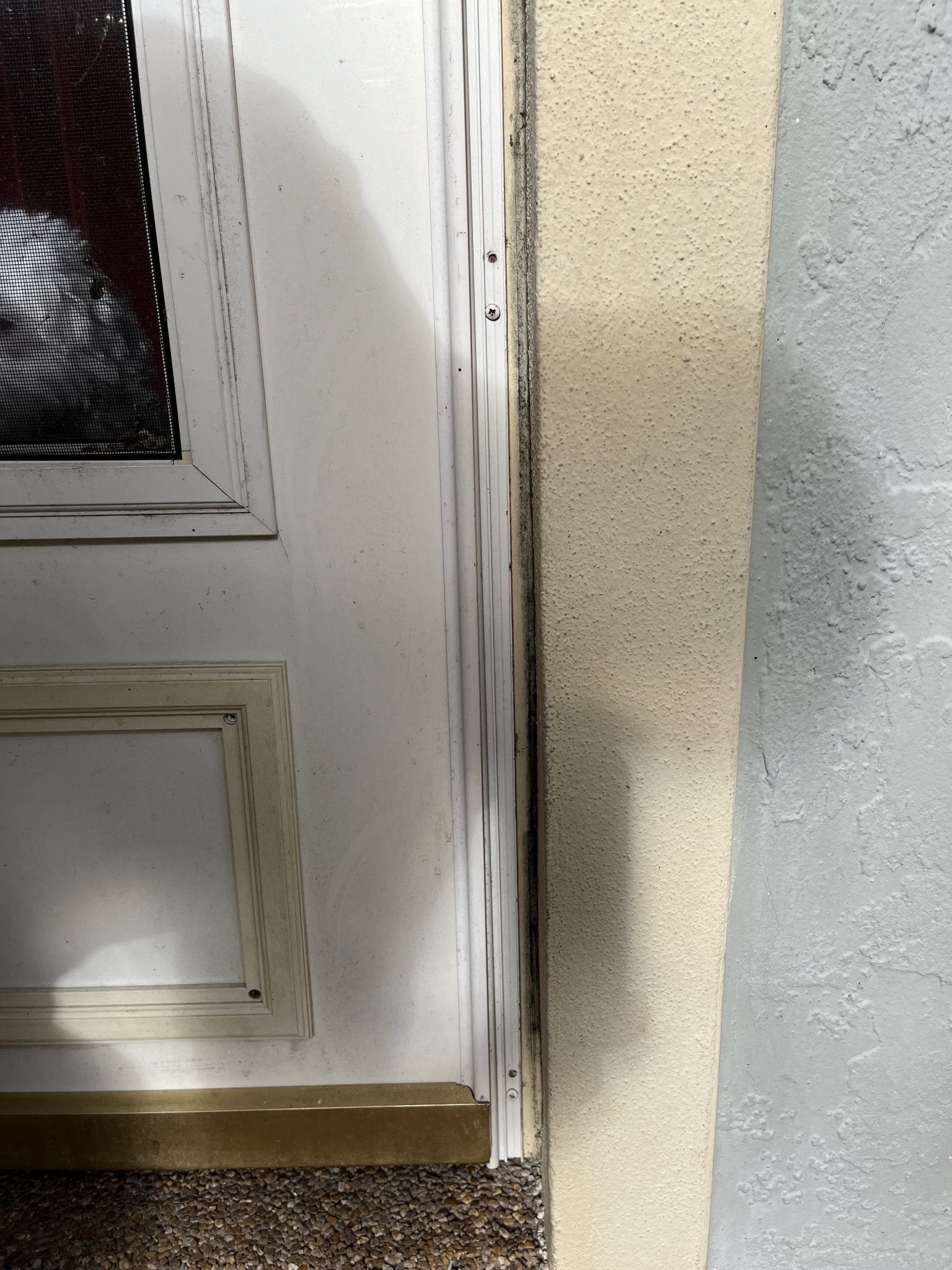 1711374023019.jpeg