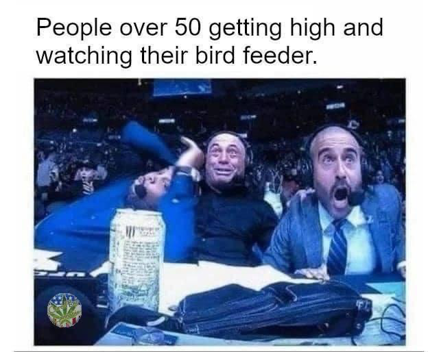 1711412507845.png