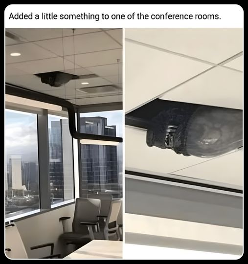 1711603716822.png