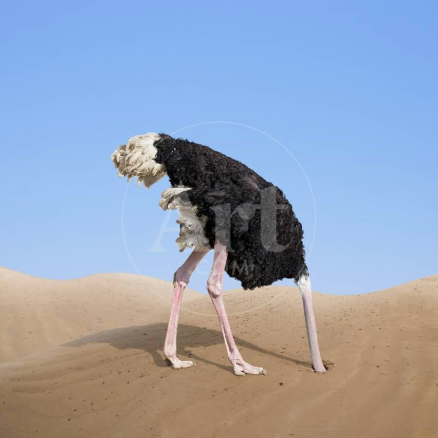 1711765885236.png