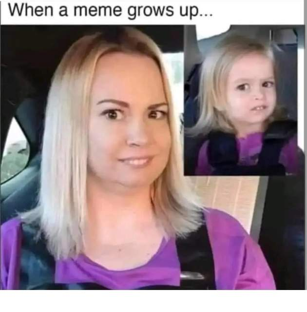 1711780199071.png