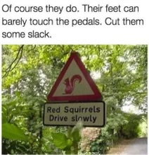 1711846732211.jpeg
