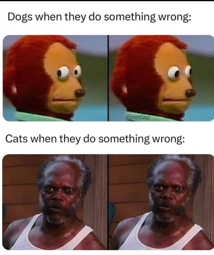 1711984079014.png