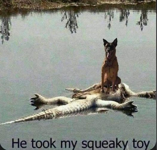 1712164845998.png