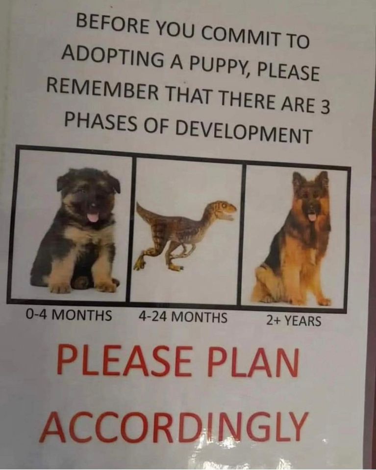 1712333255203.jpeg
