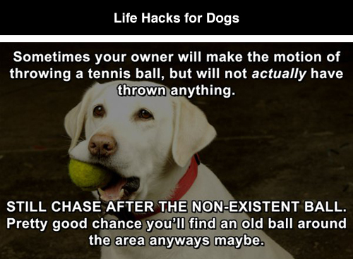 1712549924053.png