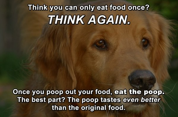 1712549953601.png