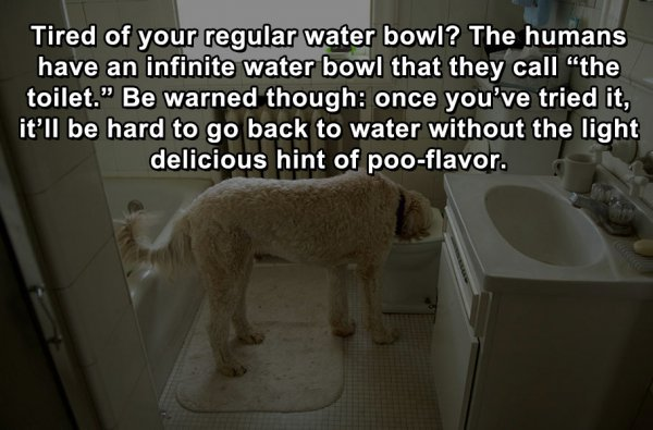 1712550039104.png