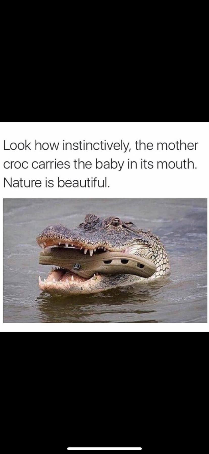 1712632848693.png