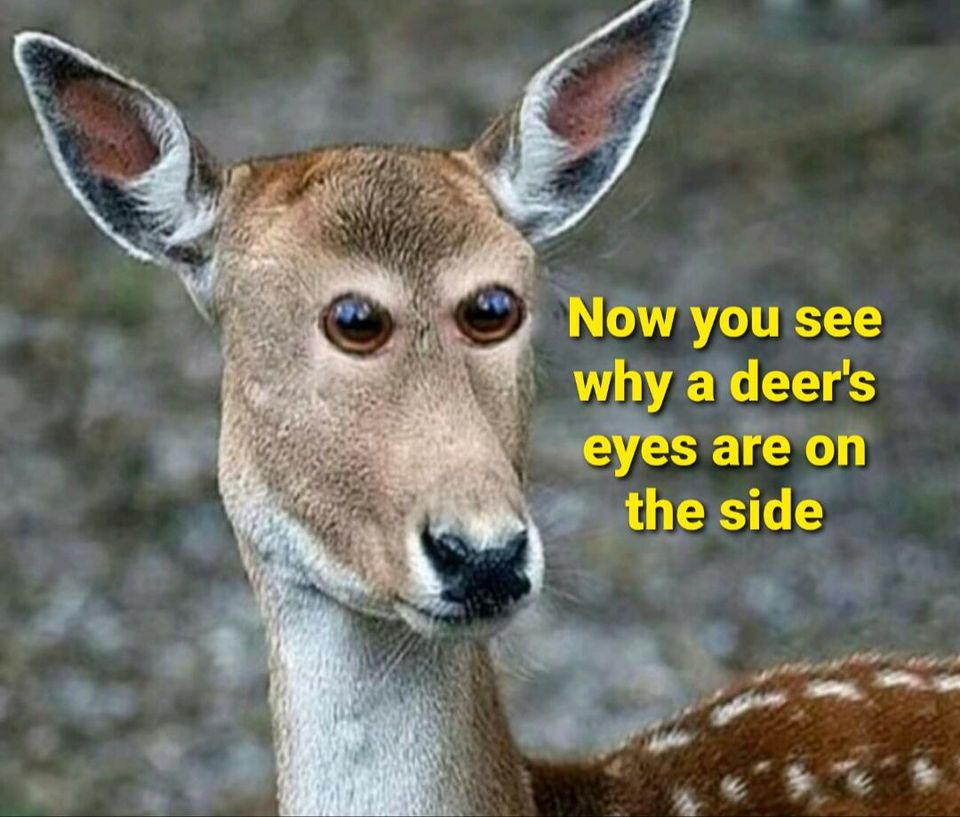1712843103784.png