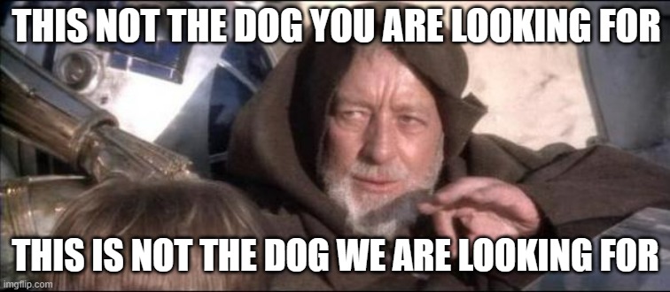 1713269362550.jpeg