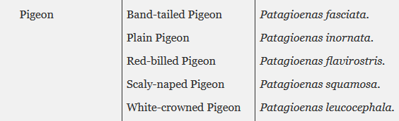 1713810569506.png