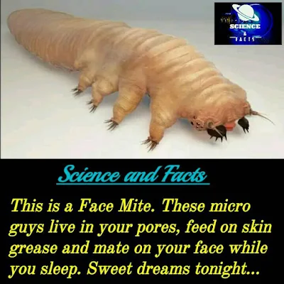 1713834837376.png